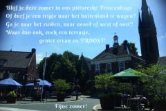 Vers in 't Aogje