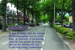 Vers in 't Aogje