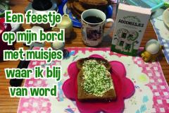 Vers in 't Aogje