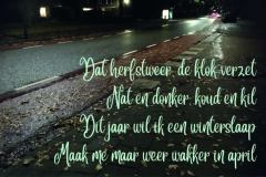 Vers in 't Aogje