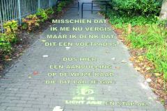 Vers in 't Aogje