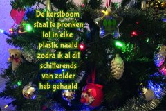 Vers in 't Aogje