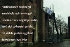 Vers in 't Aogje