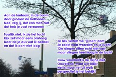 Vers