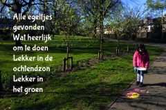 Vers in 't Aogje