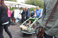 Vrijmarkt-2015-10-05-2015-Foto-Armin-Floren-52