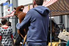 Vrijmarkt-2015-10-05-2015-Foto-Armin-Floren-7