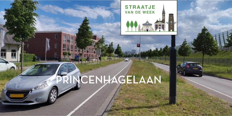 Straatnamen in Princenhage: Princenhagelaan