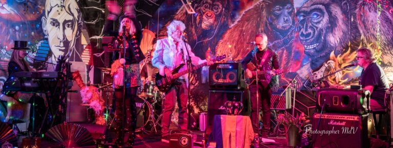 Geweldige tribute-avonden in Princenhage dit najaar Princenhage, Breda, Live Muziek, Tribute Bands, SCC de Koe, Buro Berbers, Uitgaan Breda, Queen, Queens & Co