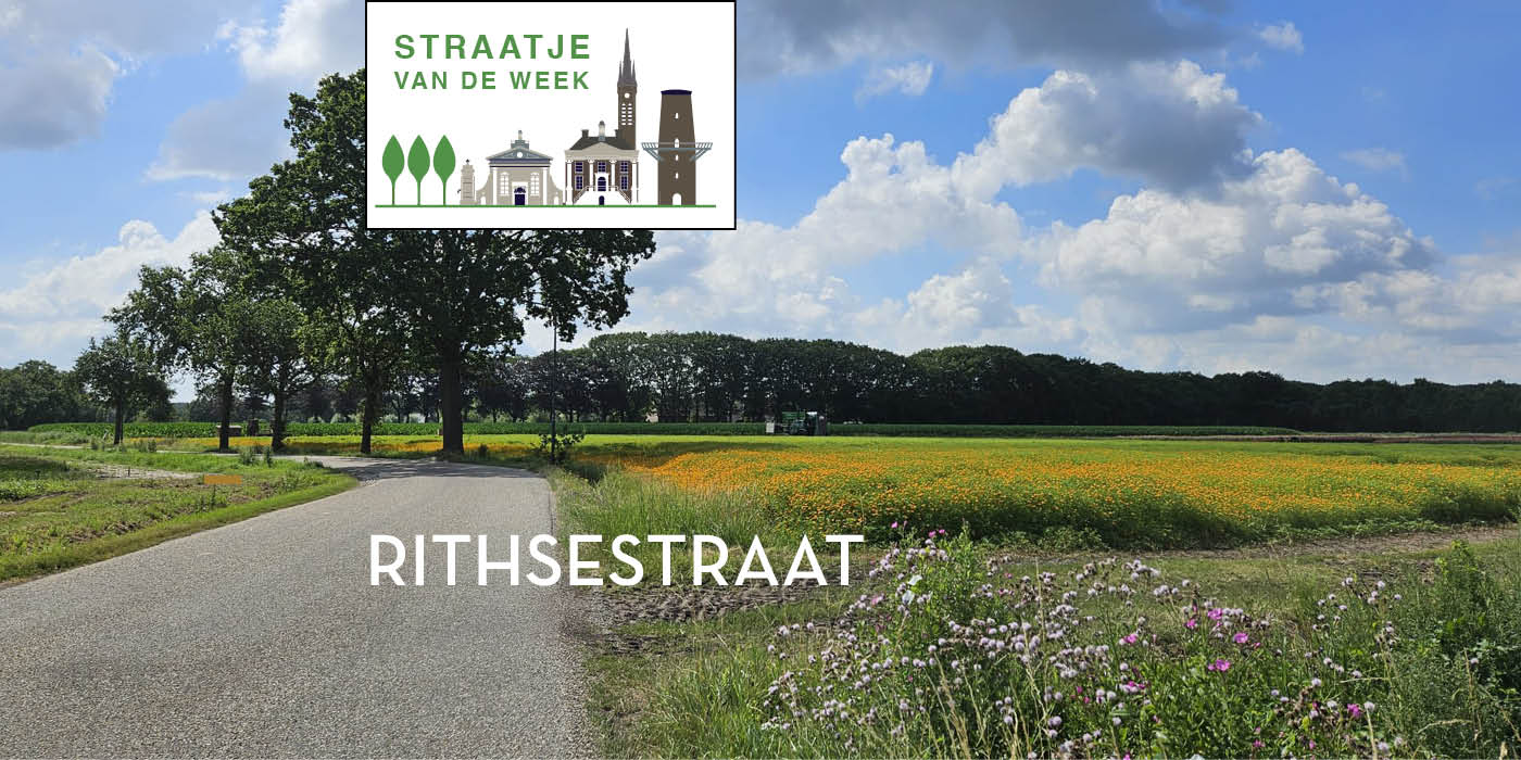 Straatnamen in Princenhage: Rithsestraat